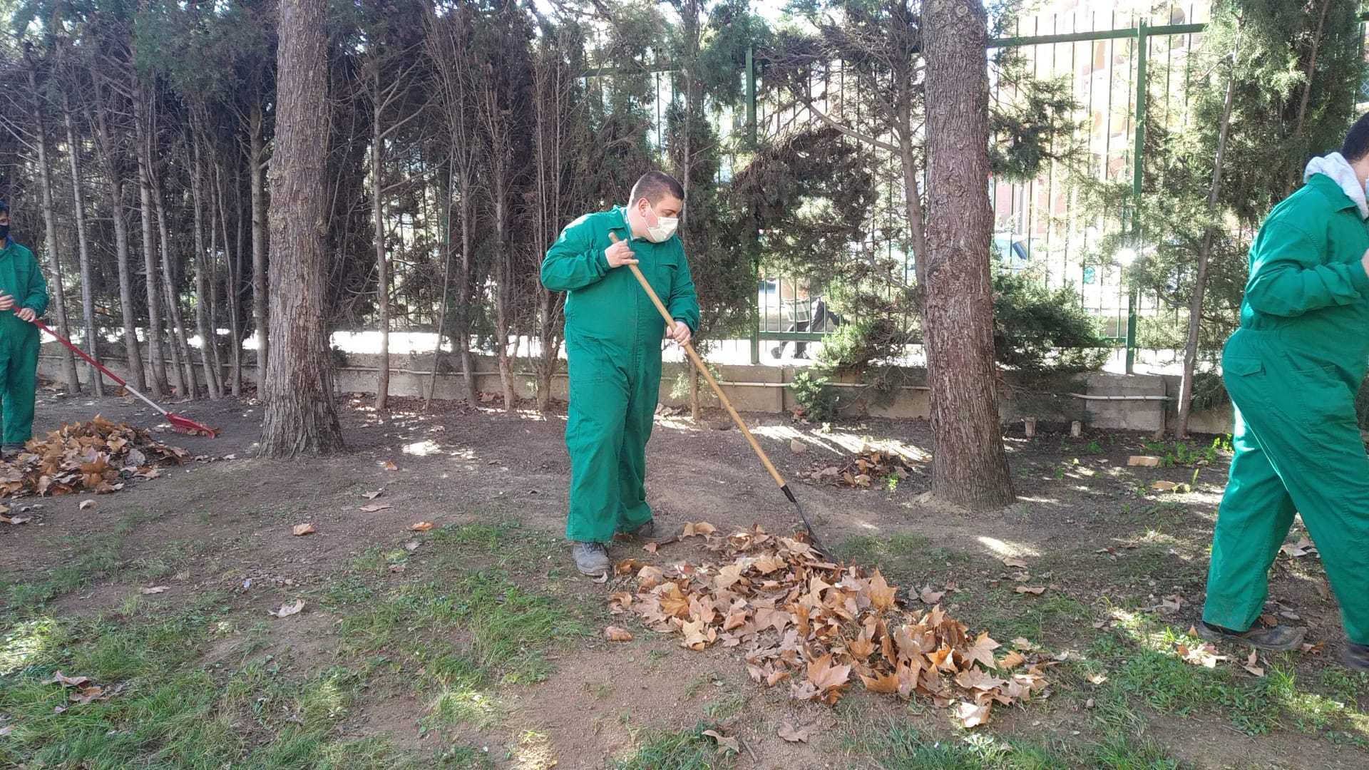 foto de alumno recoge hojas
